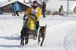 Lenk 2012 SM